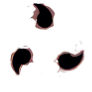 searchingscroll